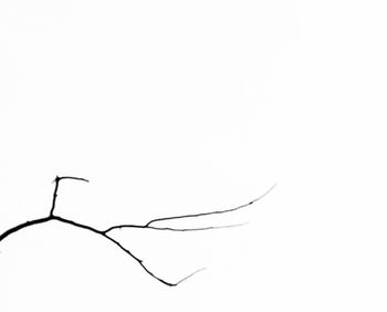 Close-up of white background