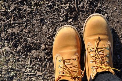 Low section of person wearing brown shoes on field