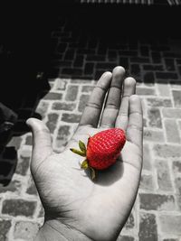 Close-up of hand holding strawberries