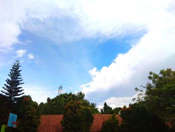 Trees against sky