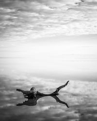 Driftwood in sea against sky