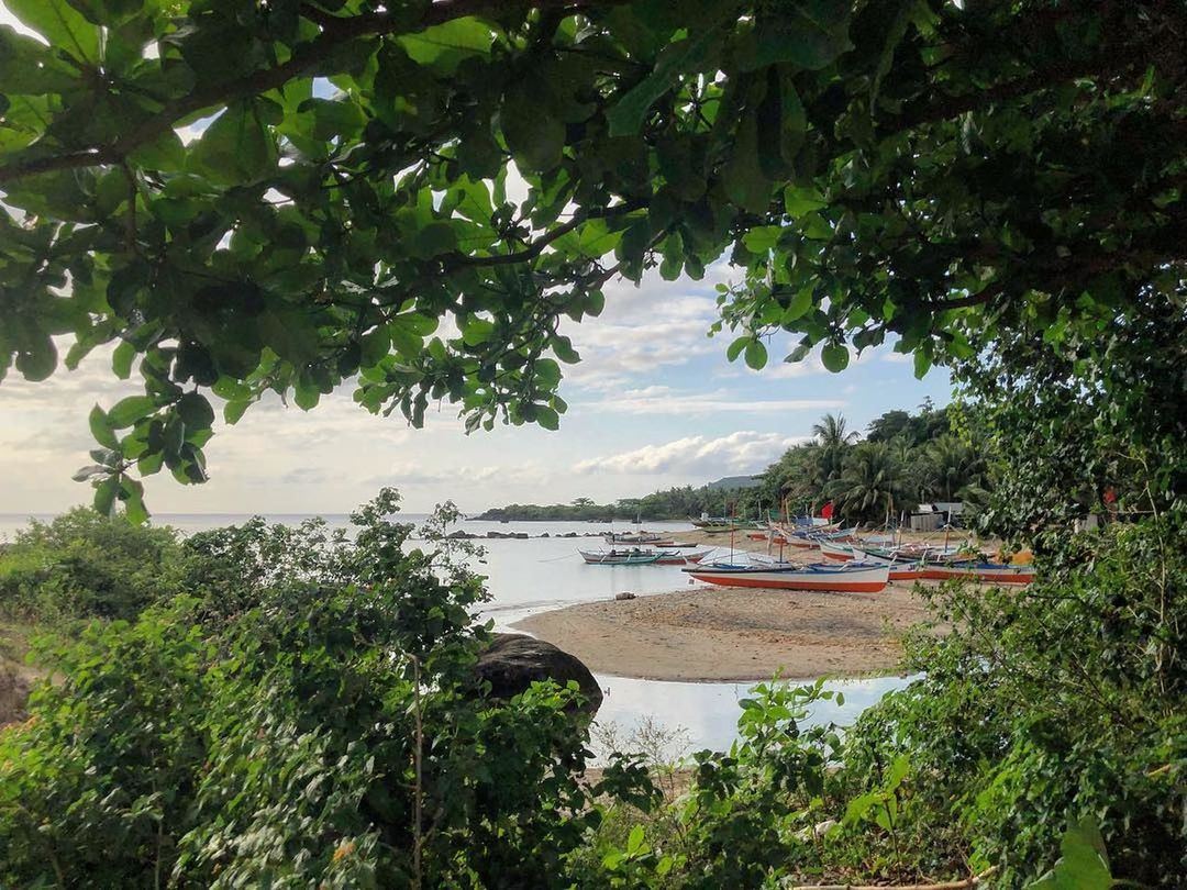 SCENIC VIEW OF RIVER AGAINST TREES