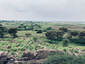 Scenic view of landscape against sky