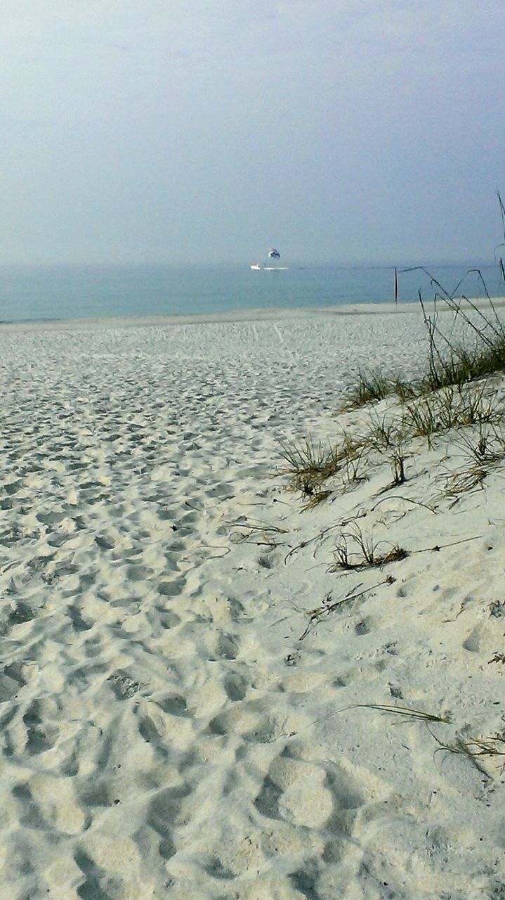 sea, horizon over water, water, beach, tranquil scene, tranquility, scenics, clear sky, shore, nature, beauty in nature, sand, copy space, sky, idyllic, bird, transportation, day, seascape, outdoors