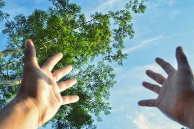 Low angle view of couple hands against trees