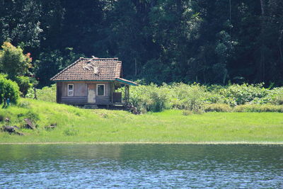 House and trees by lake against building