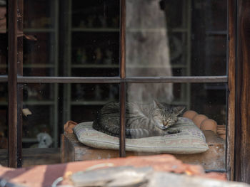 Reflection of man on glass window