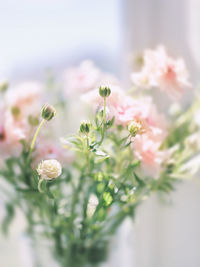 Close-up of flowers