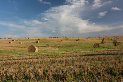 Hay bales on field against sky