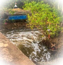 Scenic view of river flowing in forest