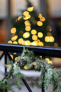 Close-up of plants against illuminated lights