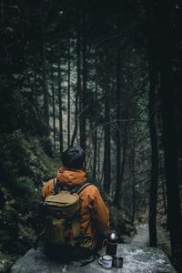 Rear view of man sitting in forest