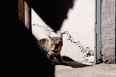 View of built structure