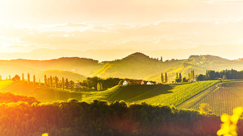 Scenic view of field against sky during sunset