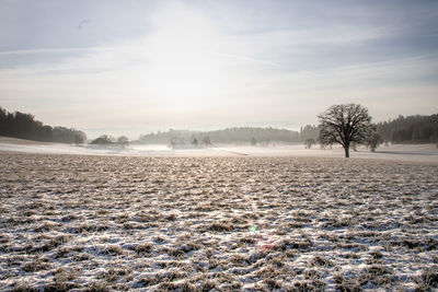 Scenic view of frozen field against sky during winter