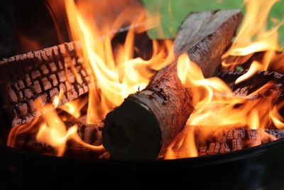 Close-up of bonfire