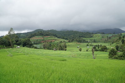 Scenic view of landscape against sky