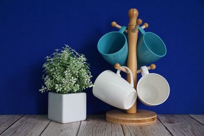 Potted plant on table