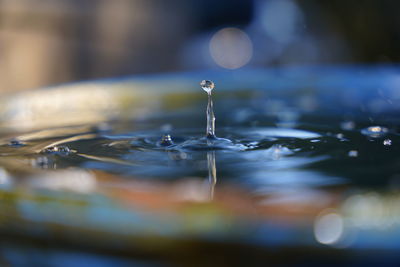 reflection