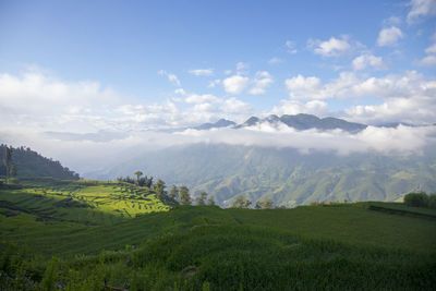 Scenic view of landscape against sky