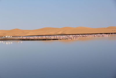 Scenic view of beach against clear sky