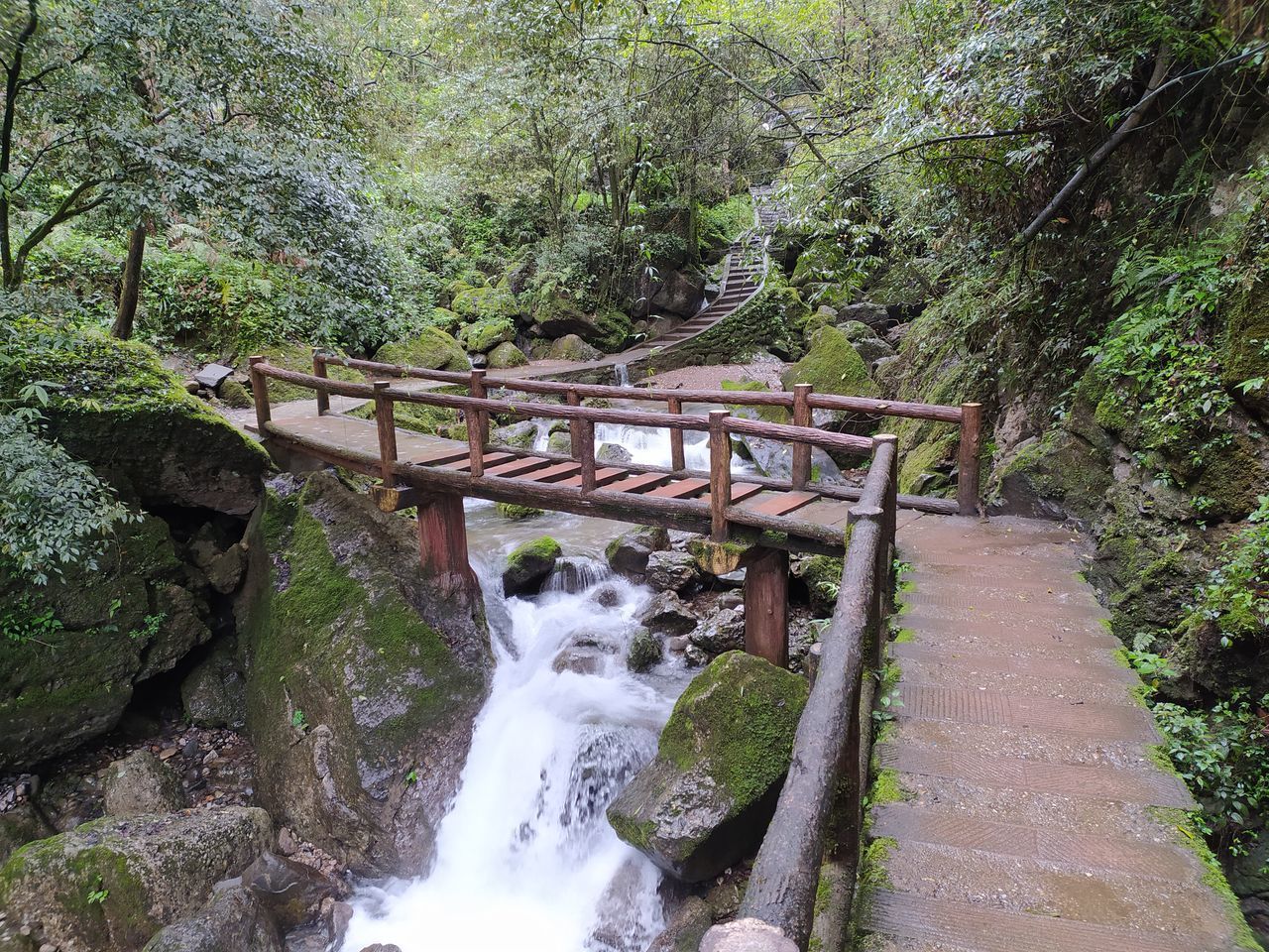 WATERFALL IN FOREST