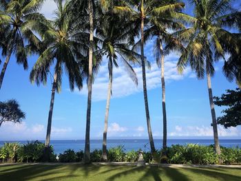 Palm trees on beach against sky