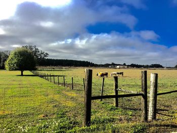 Fence on field against sky