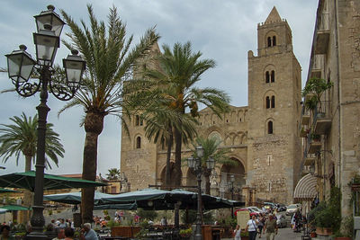 Palm trees and buildings in city