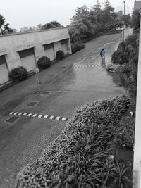 Man walking on road by trees against sky