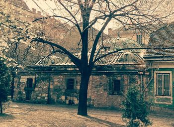 Old building with trees in background