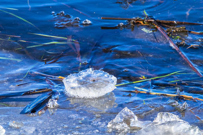 High angle view of frozen sea