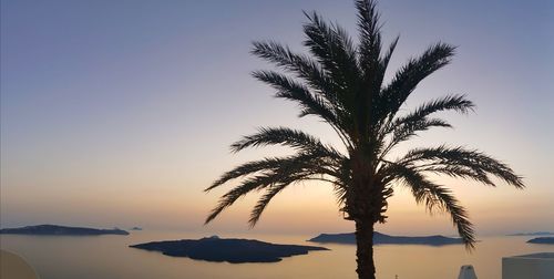 Silhouette palm tree by sea against sky during sunset