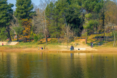 Scenic view of lake in forest