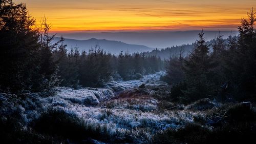 Scenic view of landscape against sky during sunset