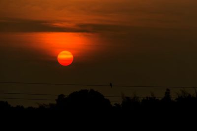 Silhouette trees against sky during sunset