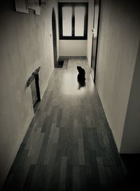 High angle view of corridor in building