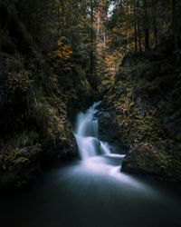 Scenic view of waterfall in forest