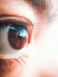 Close-up of woman eye