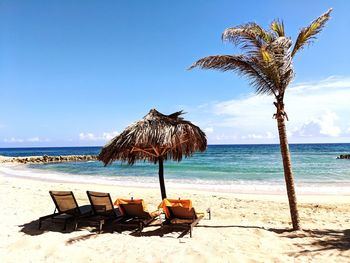 Scenic view of palm trees on beach against sky
