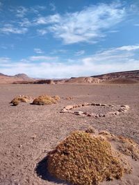 Scenic view of desert against sky