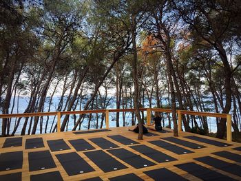 Scenic view of trees against sky