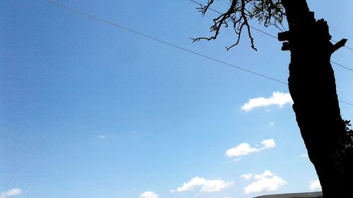 Low angle view of silhouette trees against blue sky