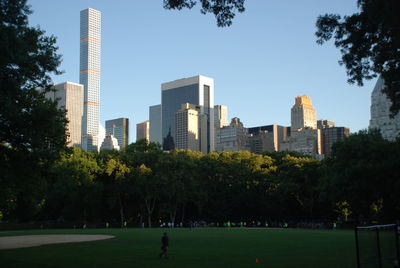 Trees and skyscrapers in city against sky