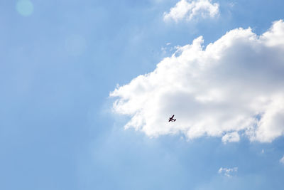 Low angle view of airplane flying in sky