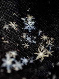 Close-up of snowflakes on glass