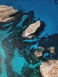 High angle view of starfish on rock