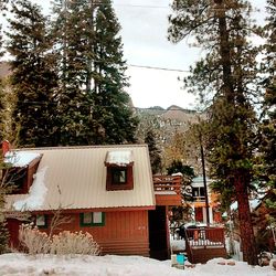 Houses on snow covered landscape