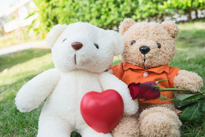 Teddy bear sitting on the garden with love and red roses symbolize valentine's day.