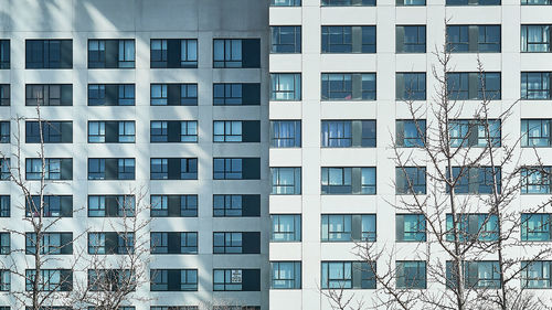 Full frame shot of modern building in city